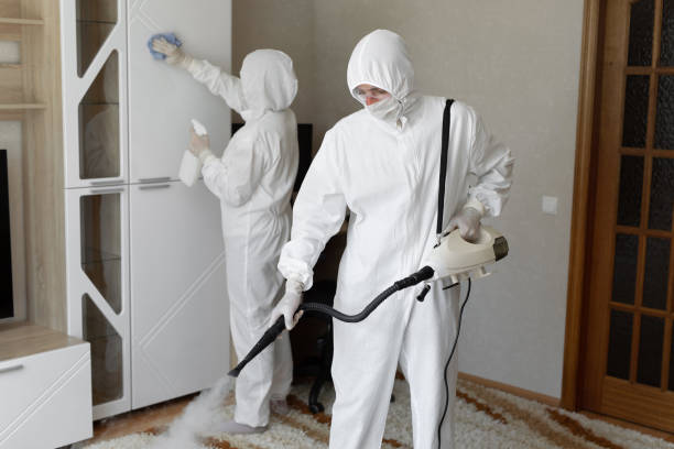 Best Post-Flood Mold Remediation in Desnso, CA