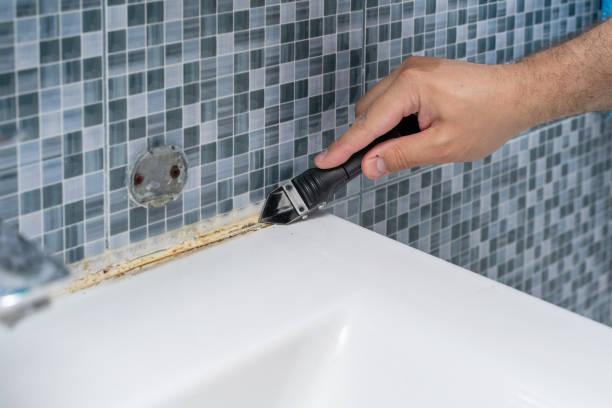 Best Residential Mold Remediation in Desnso, CA