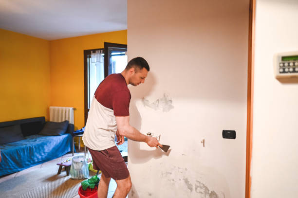 Best Preventive Mold Services in Desnso, CA